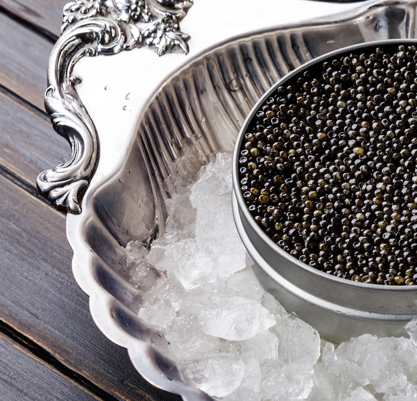 shutterstock_1130048324 1